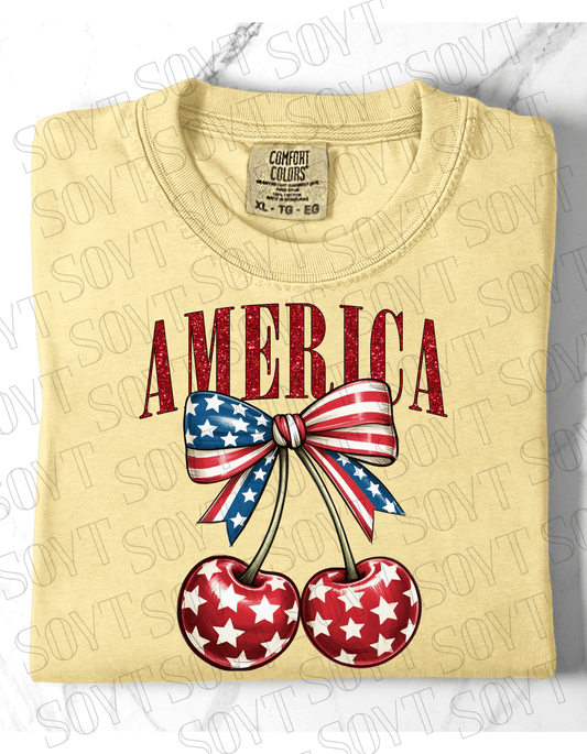Women's July 4th Apparel for Pet Owners - Festive Apparel Store