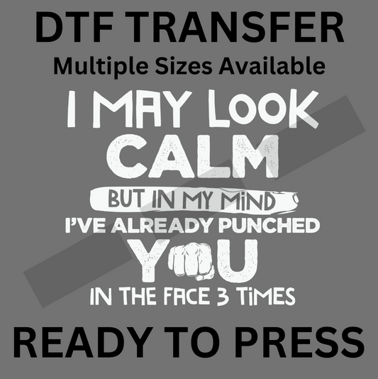 I May Look Calm - Funny DTF Iron-On Transfer for Custom Apparel