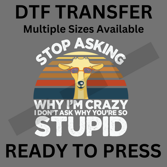 Stop Asking Why I’m Stupid - Funny DTF Iron-On Transfer for Custom Apparel